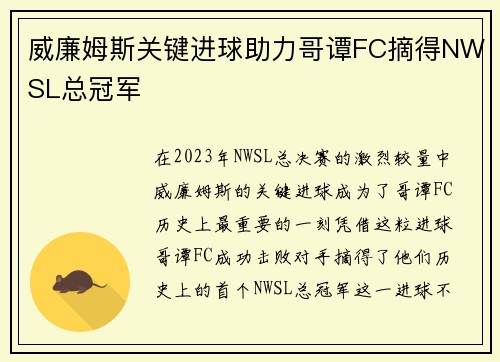 威廉姆斯关键进球助力哥谭FC摘得NWSL总冠军