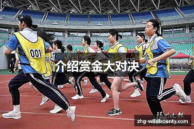 介绍赏金大对决